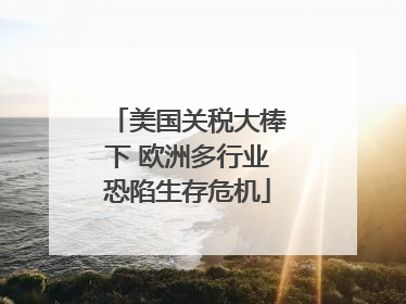 美国关税大棒下 欧洲多行业恐陷生存危机
