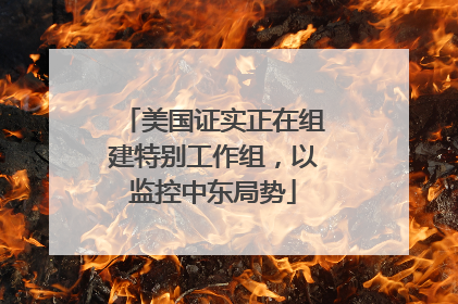 美国证实正在组建特别工作组，以监控中东局势