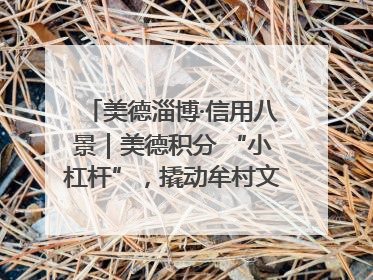 美德淄博·信用八景｜美德积分 “小杠杆”，撬动牟村文明 “大能量”
