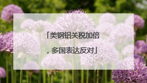 美钢铝关税加倍，多国表达反对