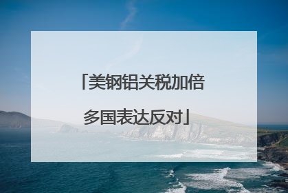 美钢铝关税加倍 多国表达反对