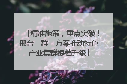 精准施策，重点突破！邢台一群一方案推动特色产业集群提档升级