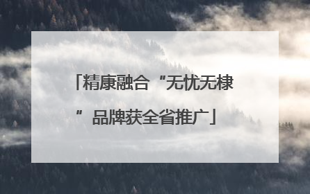 精康融合“无忧无棣”品牌获全省推广
