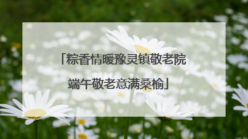 粽香情暖豫灵镇敬老院 端午敬老意满桑榆
