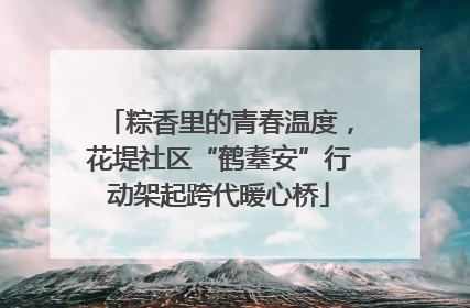 粽香里的青春温度，花堤社区“鹤耋安”行动架起跨代暖心桥