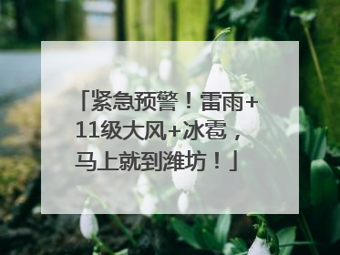 紧急预警！雷雨+11级大风+冰雹，马上就到潍坊！