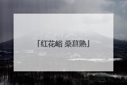红花峪 桑葚熟