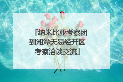 纳米比亚考察团到湘潭天易经开区考察洽谈交流