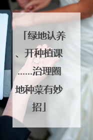 绿地认养、开种植课……治理圈地种菜有妙招
