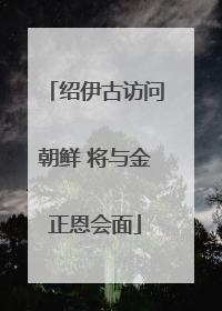 绍伊古访问朝鲜 将与金正恩会面