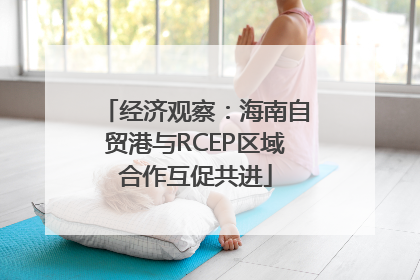 经济观察：海南自贸港与RCEP区域合作互促共进