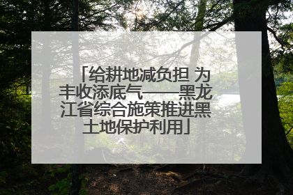 给耕地减负担 为丰收添底气——黑龙江省综合施策推进黑土地保护利用