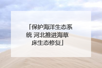 保护海洋生态系统 河北推进海草床生态修复