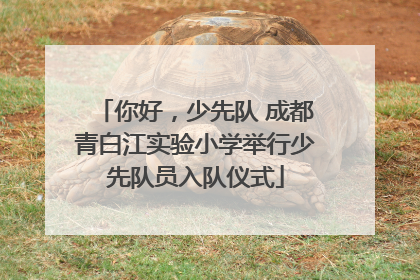 你好，少先队 成都青白江实验小学举行少先队员入队仪式