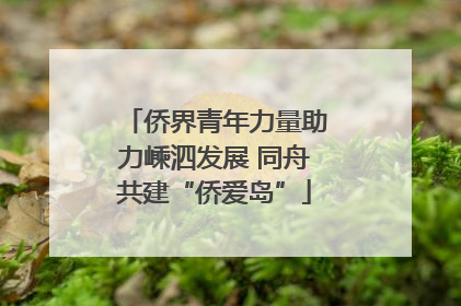 侨界青年力量助力嵊泗发展 同舟共建“侨爱岛”