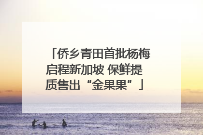 侨乡青田首批杨梅启程新加坡 保鲜提质售出“金果果”