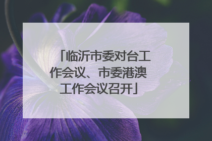 临沂市委对台工作会议、市委港澳工作会议召开