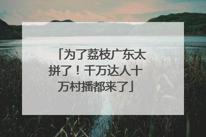 为了荔枝广东太拼了！千万达人十万村播都来了