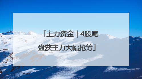 主力资金｜4股尾盘获主力大幅抢筹