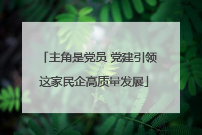 主角是党员 党建引领这家民企高质量发展