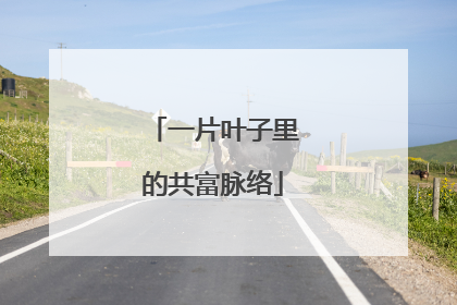 一片叶子里的共富脉络