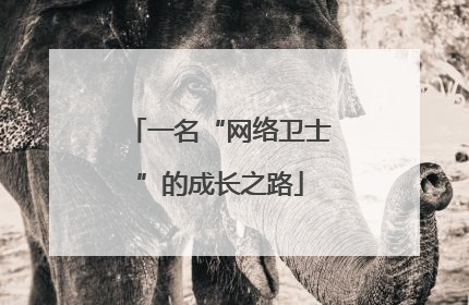 一名“网络卫士”的成长之路