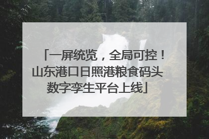 一屏统览，全局可控！山东港口日照港粮食码头数字孪生平台上线