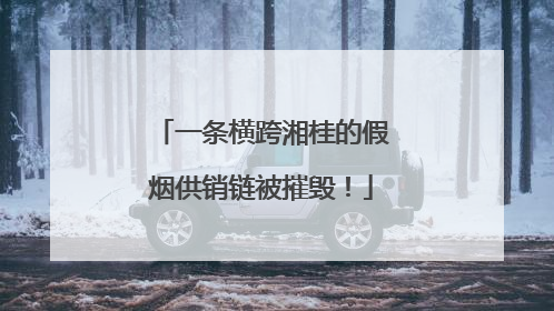 一条横跨湘桂的假烟供销链被摧毁！