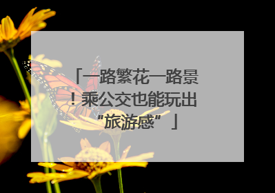 一路繁花一路景！乘公交也能玩出“旅游感”