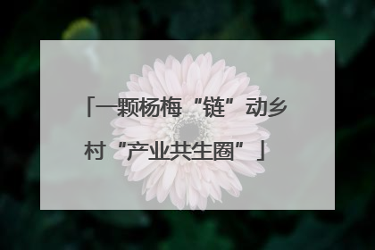 一颗杨梅“链”动乡村“产业共生圈”