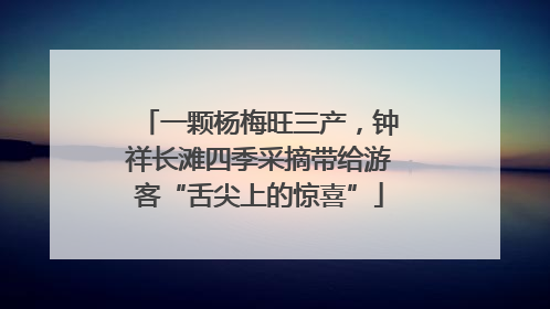 一颗杨梅旺三产，钟祥长滩四季采摘带给游客“舌尖上的惊喜”