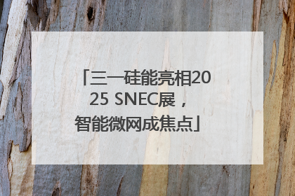 三一硅能亮相2025 SNEC展，智能微网成焦点