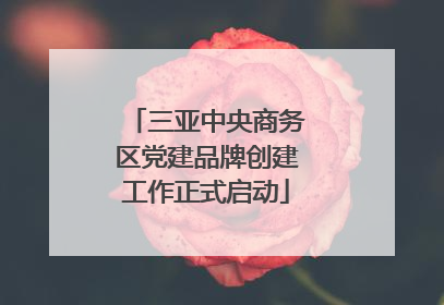 三亚中央商务区党建品牌创建工作正式启动