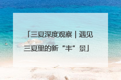 三夏深度观察｜遇见三夏里的新“丰”景