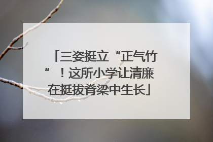 三姿挺立“正气竹”！这所小学让清廉在挺拔脊梁中生长