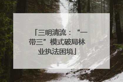 三明清流：“一带三”模式破局林业执法困境