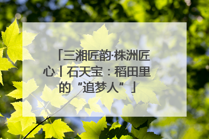 三湘匠韵·株洲匠心丨石天宝：稻田里的“追梦人”