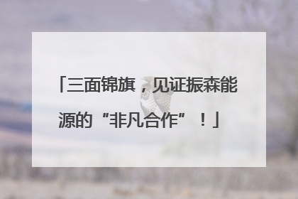 三面锦旗，见证振森能源的“非凡合作”！