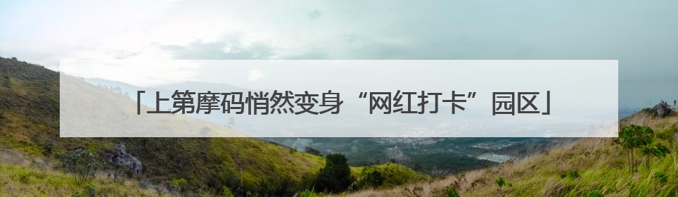 上第摩码悄然变身“网红打卡”园区