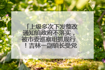 上级多次下发整改通知镇政府不落实，被市委巡察组抓现行！吉林一副镇长受党内警告处分