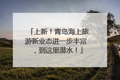 上新！青岛海上旅游新业态进一步丰富，到这里潜水！