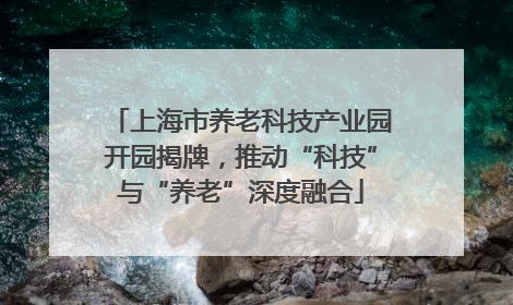 上海市养老科技产业园开园揭牌，推动“科技”与“养老”深度融合