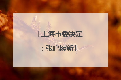上海市委决定：张鸣履新