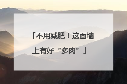 不用减肥！这面墙上有好“多肉”