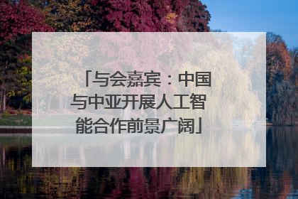 与会嘉宾：中国与中亚开展人工智能合作前景广阔