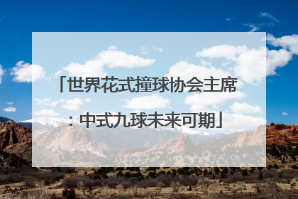 世界花式撞球协会主席：中式九球未来可期