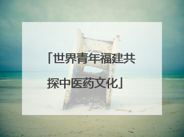 世界青年福建共探中医药文化