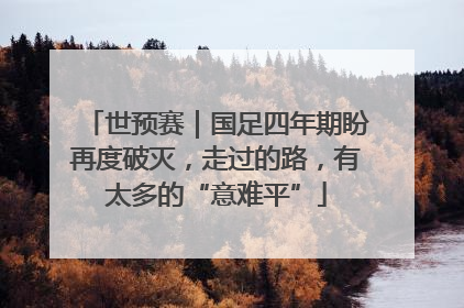世预赛｜国足四年期盼再度破灭，走过的路，有太多的“意难平”