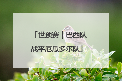 世预赛｜巴西队战平厄瓜多尔队