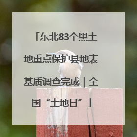 东北83个黑土地重点保护县地表基质调查完成｜全国“土地日”